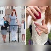 A 47foot, 8.8inch papaya tree has broken the Guinness World Record