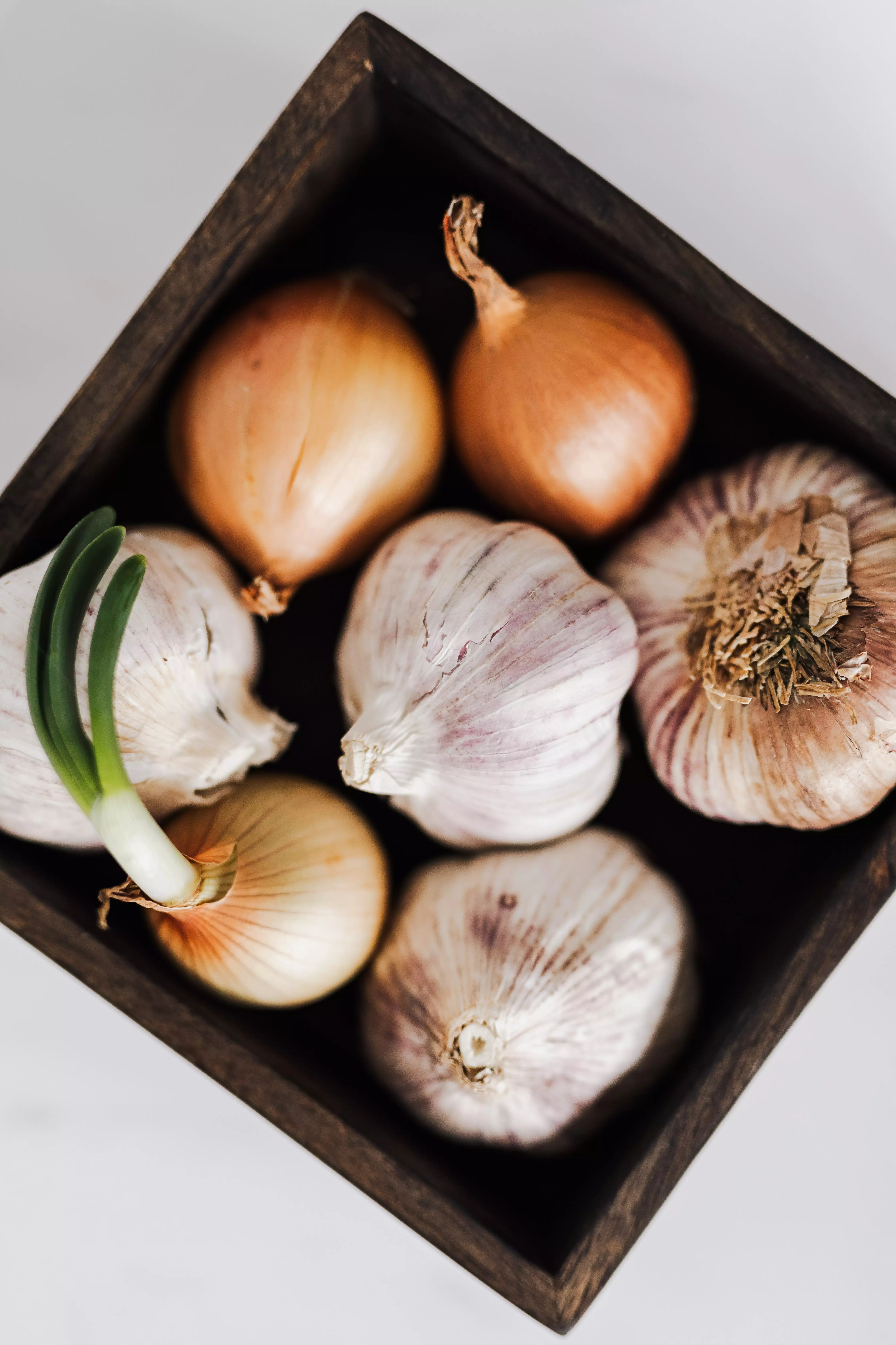 Allium vegetables