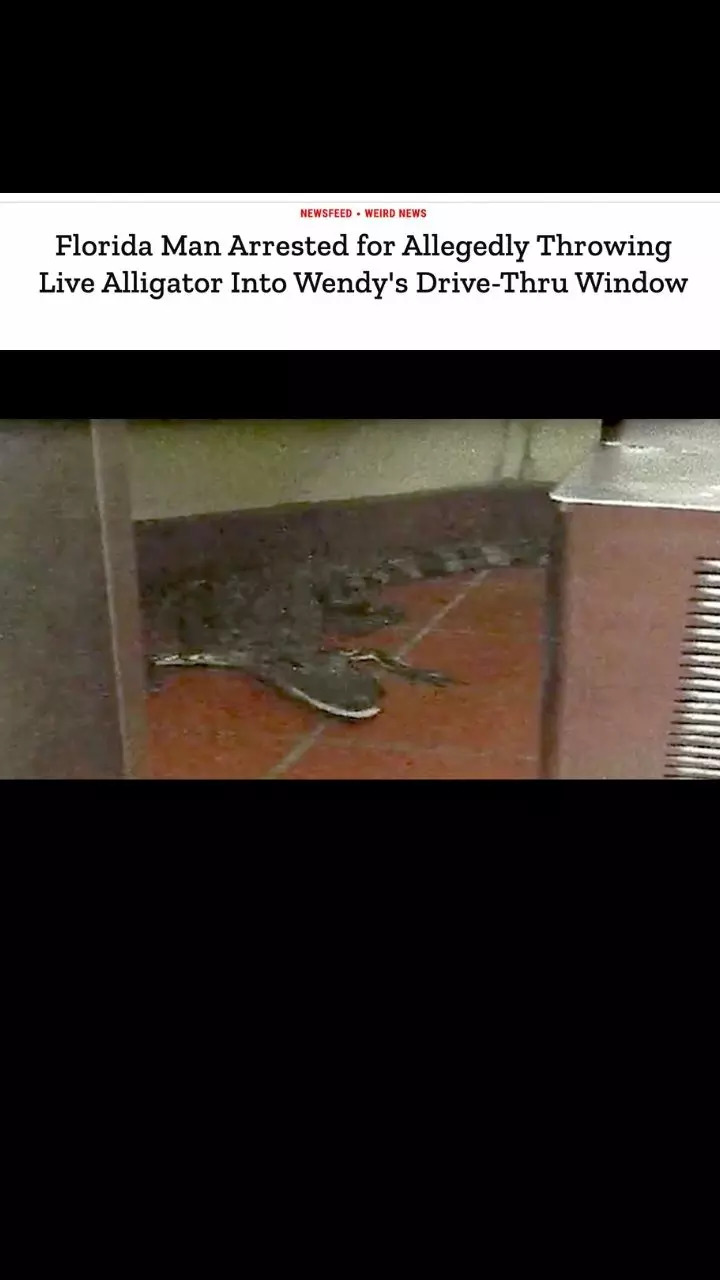 Florida man tosses live alligator into Wendys