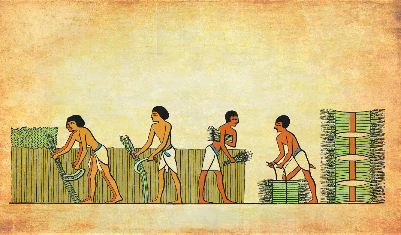 Ancient man farming