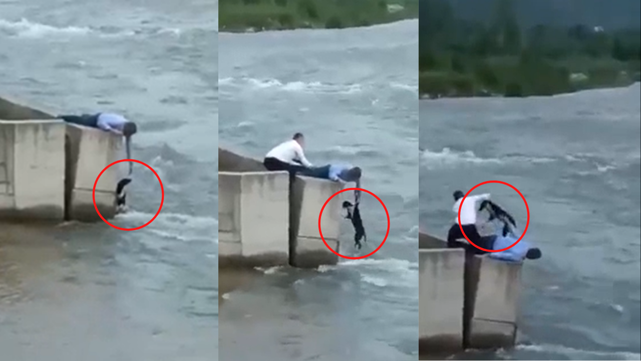 Heart touching man did not attend wedding ceremony to save dog from drowning - Watch Viral Video
