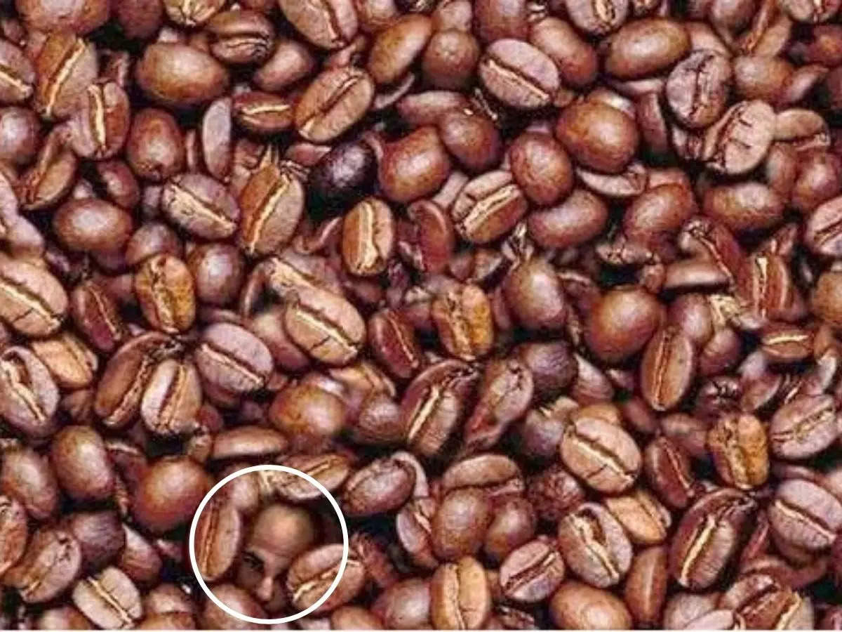 Coffee beans optical illusion test