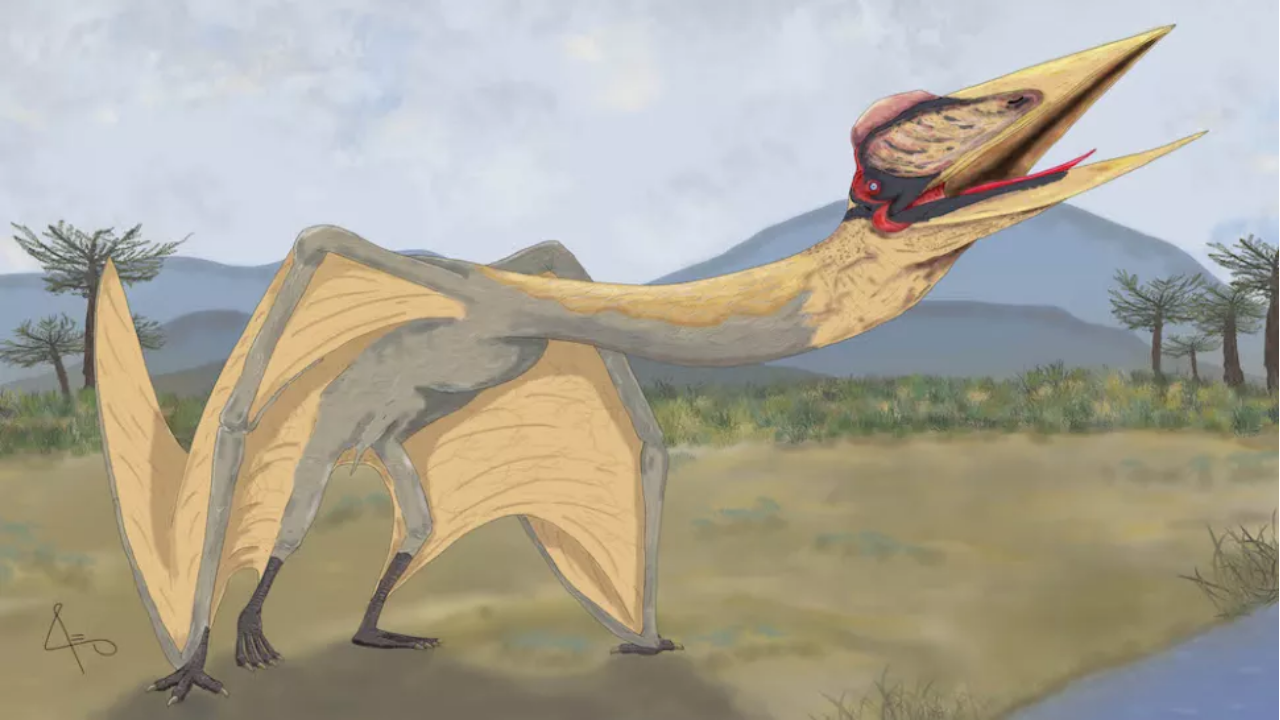 Dragon of Death' unearthed in Argentina: Giant flying reptile with 30-foot  wingspan that lived 86 million years ago alongside dinosaurs
