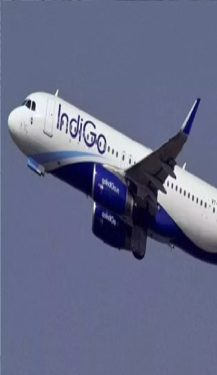 Top News Today Fine on IndiGo PM Modi Gujarat visit  more