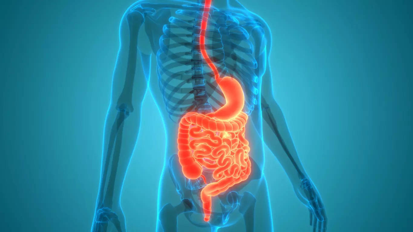 World Digestive Health Day 2022:  3 digestion myths debunked!
