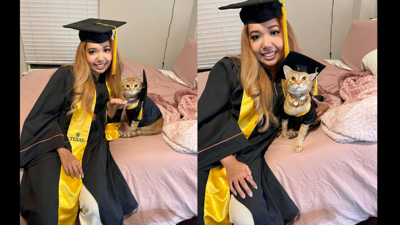 Cat graduates from university after attending every Zoom class with owner - See Pictures