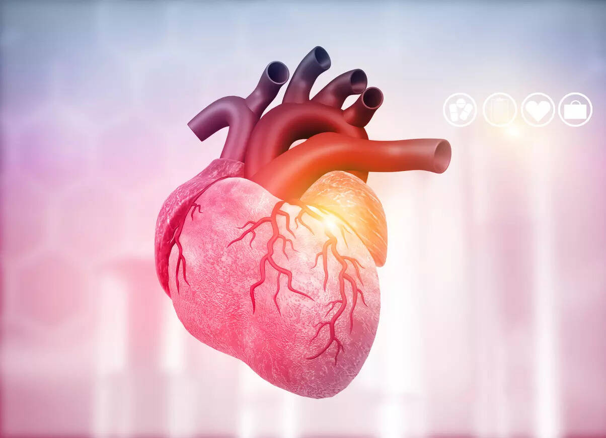 Heart Health Five Essential Nutrients That Help Keep Cardiovascular Diseases Away