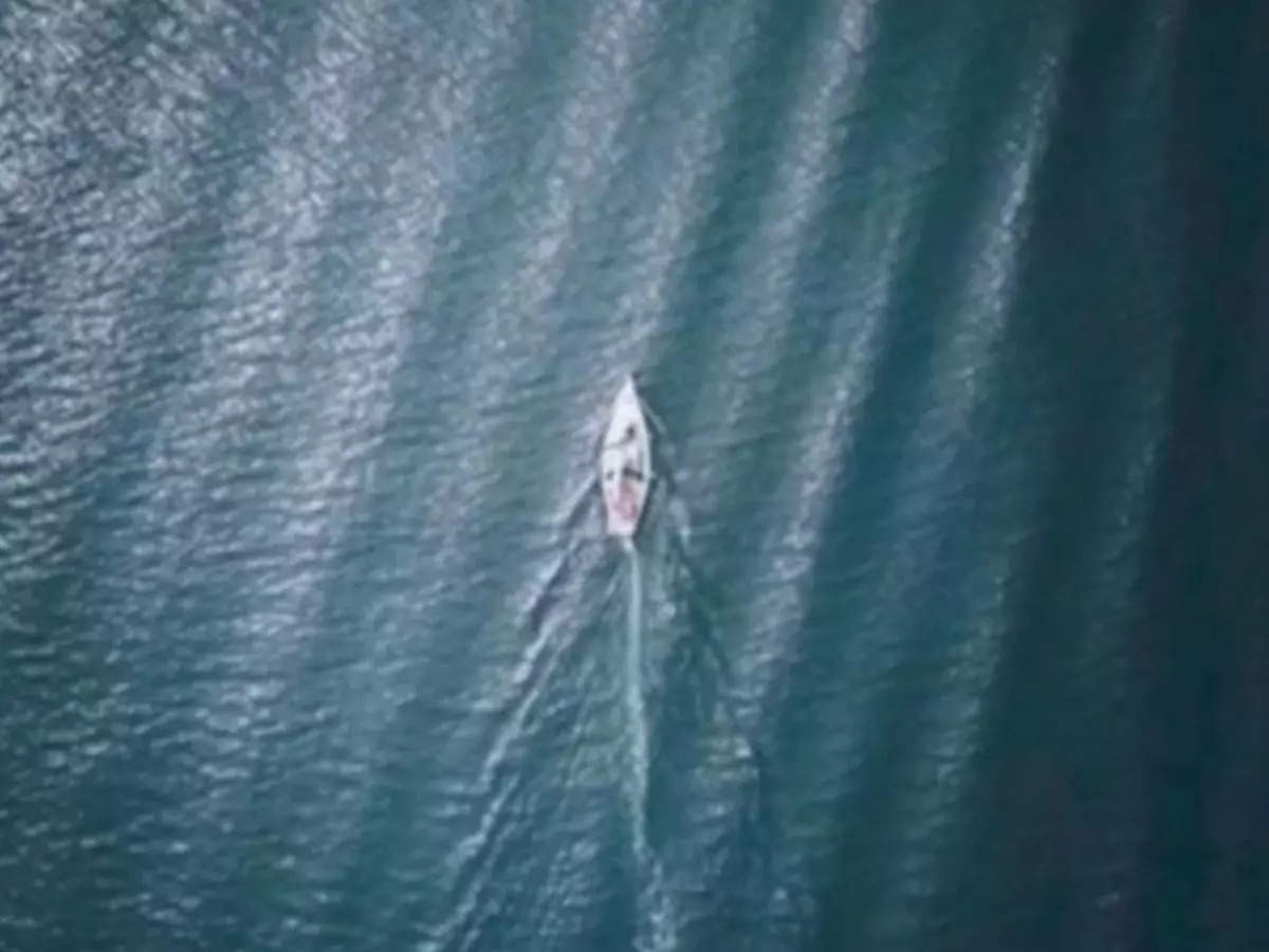 Can You Tell What's Really Going On In This Stunning Optical Illusion It's Not A Sailboat