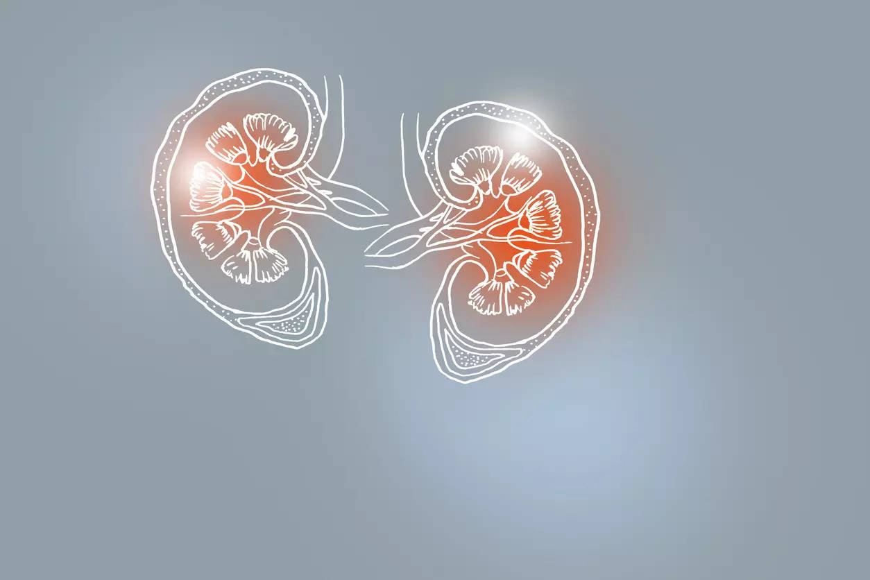 What is Nephritis Know the causes symptoms and treatment of this kidney disorder