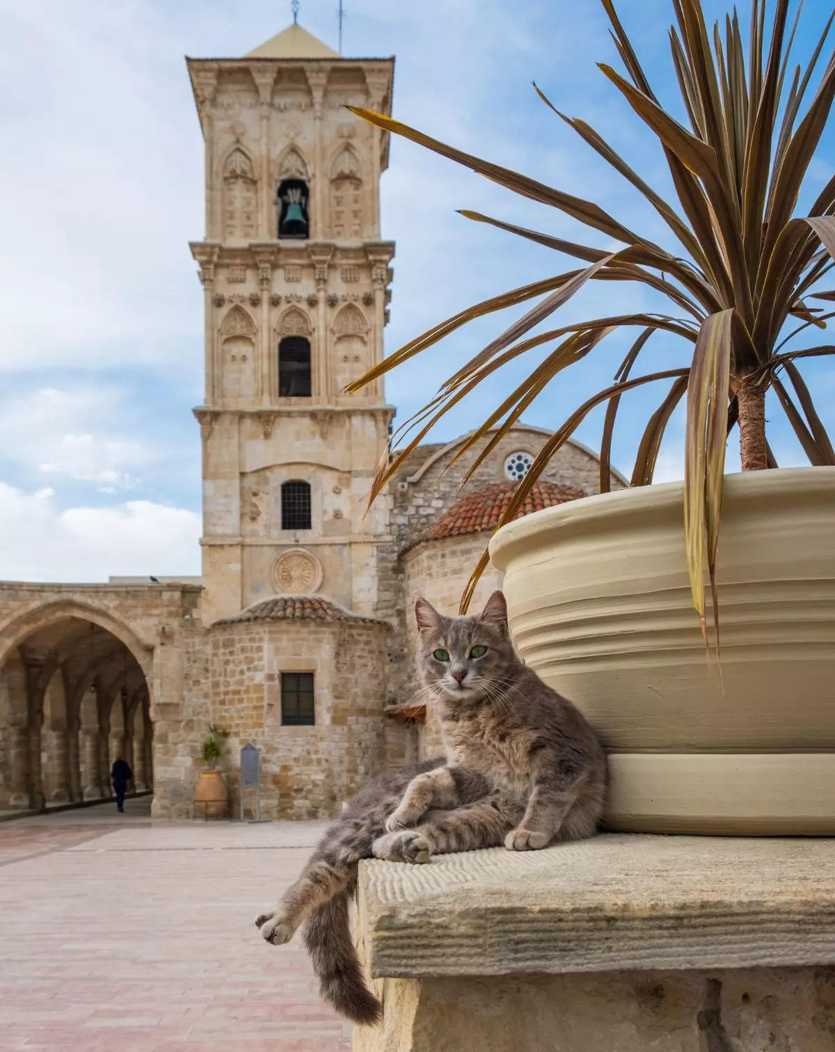 A cat pictured in the yard of St Lazarus Church in Larnaca Cyprus