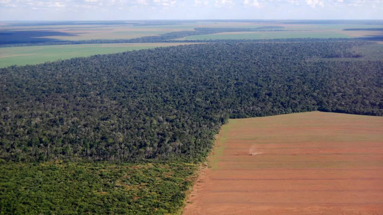 900 kilómetros cuadrados de cubierta forestal destruidos en la selva amazónica brasileña solo en mayo, equivalente a 126.000 campos de fútbol