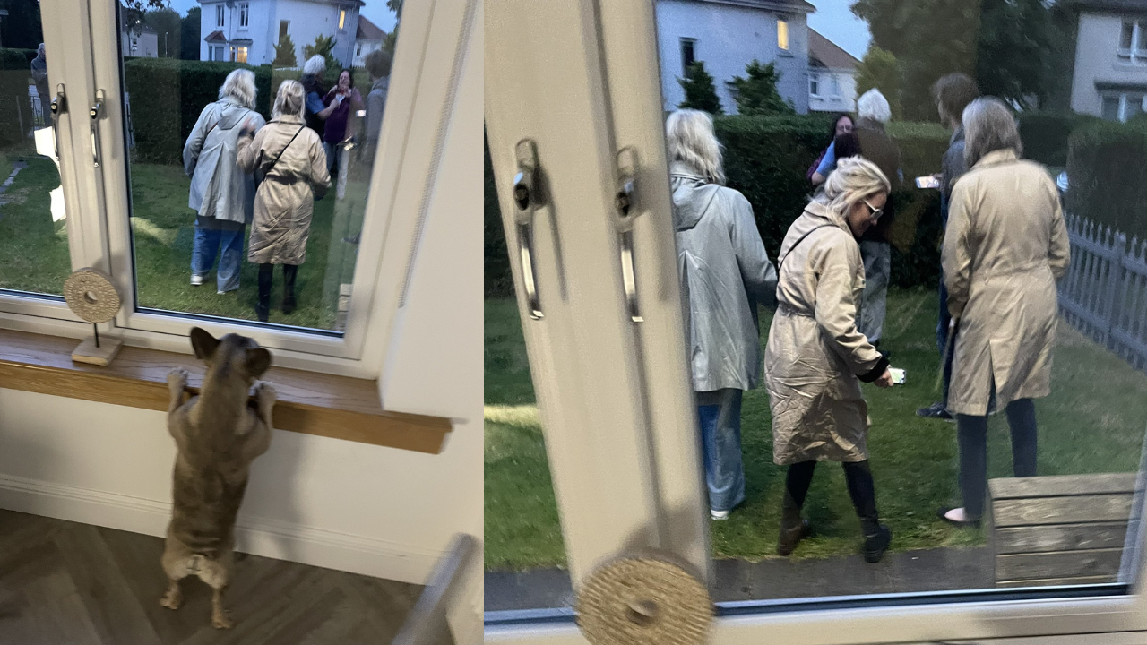 Woman confused after finding 8 strangers in her garden waving through window