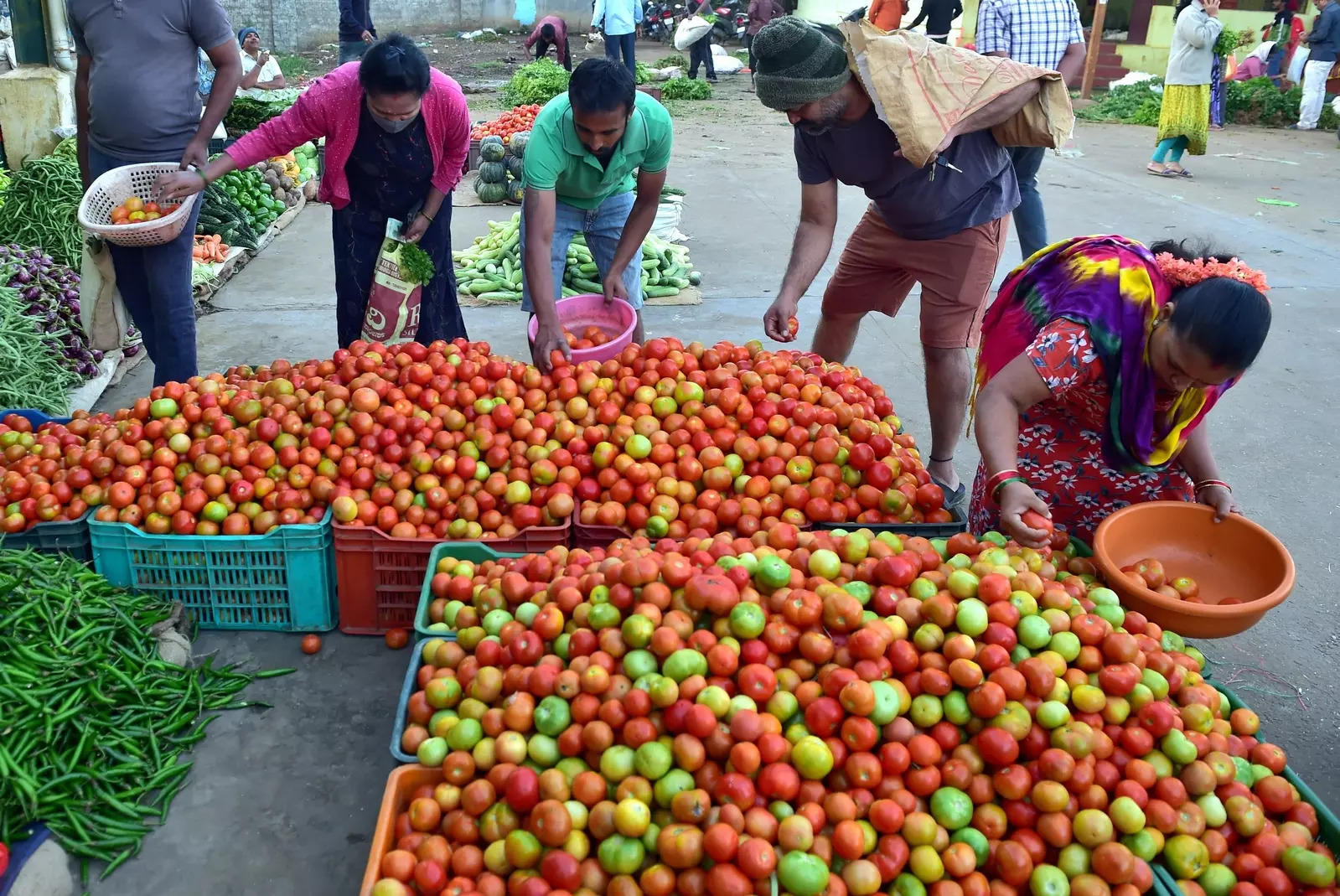 Shivamogga: People buy tomatoes at a wholesale vegetable market after Section 14...