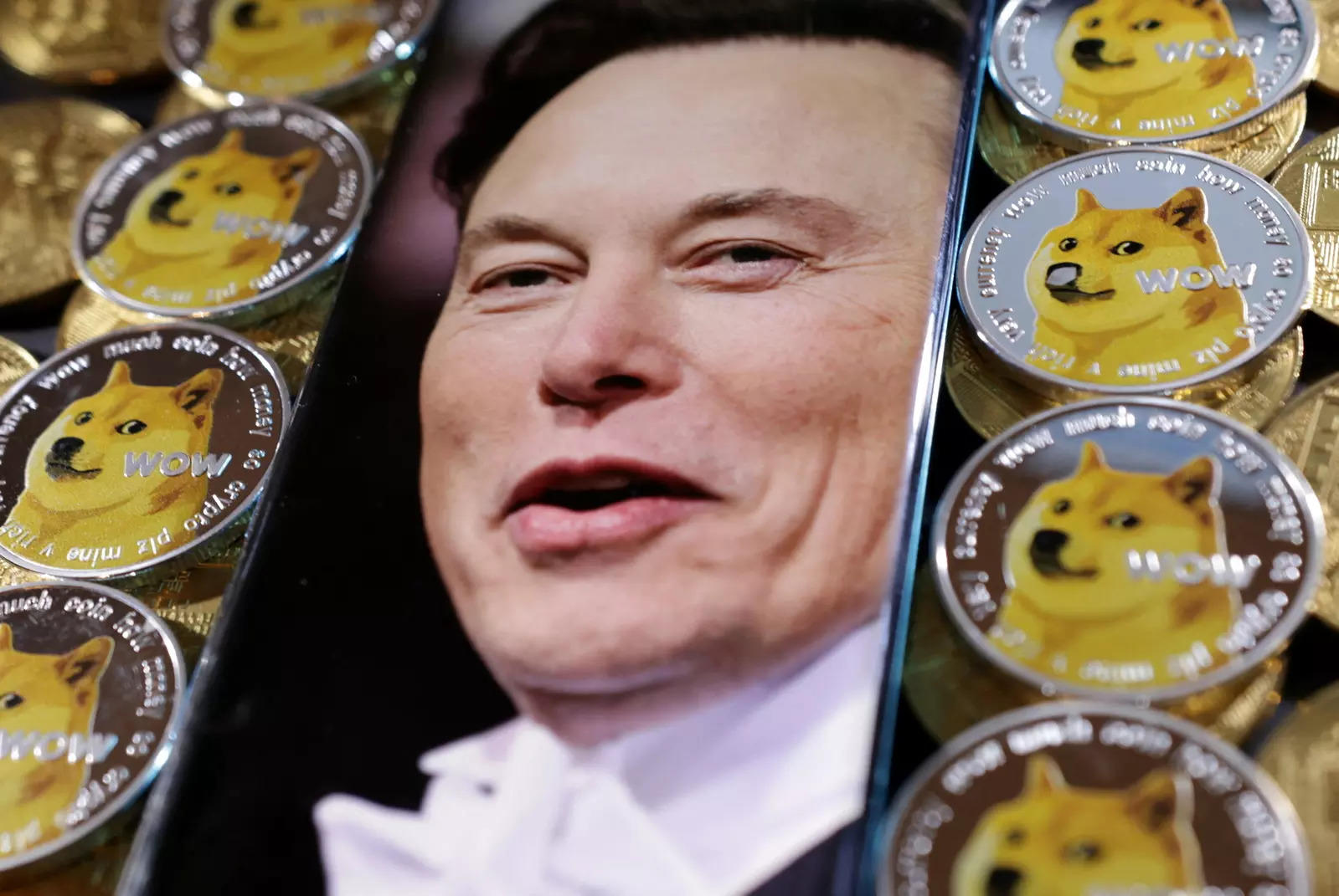 Dogecoin investor seeks 258-billion in damages from Elon Musk over losses in pyramid scheme