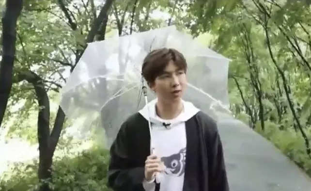 BTS RM Rain.