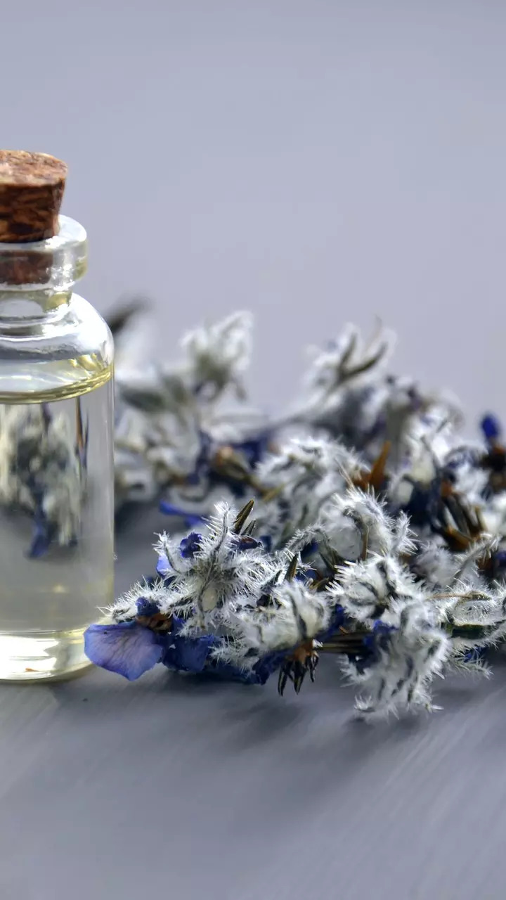 Lavender Oil