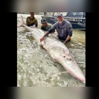 A 100-year-old live fish