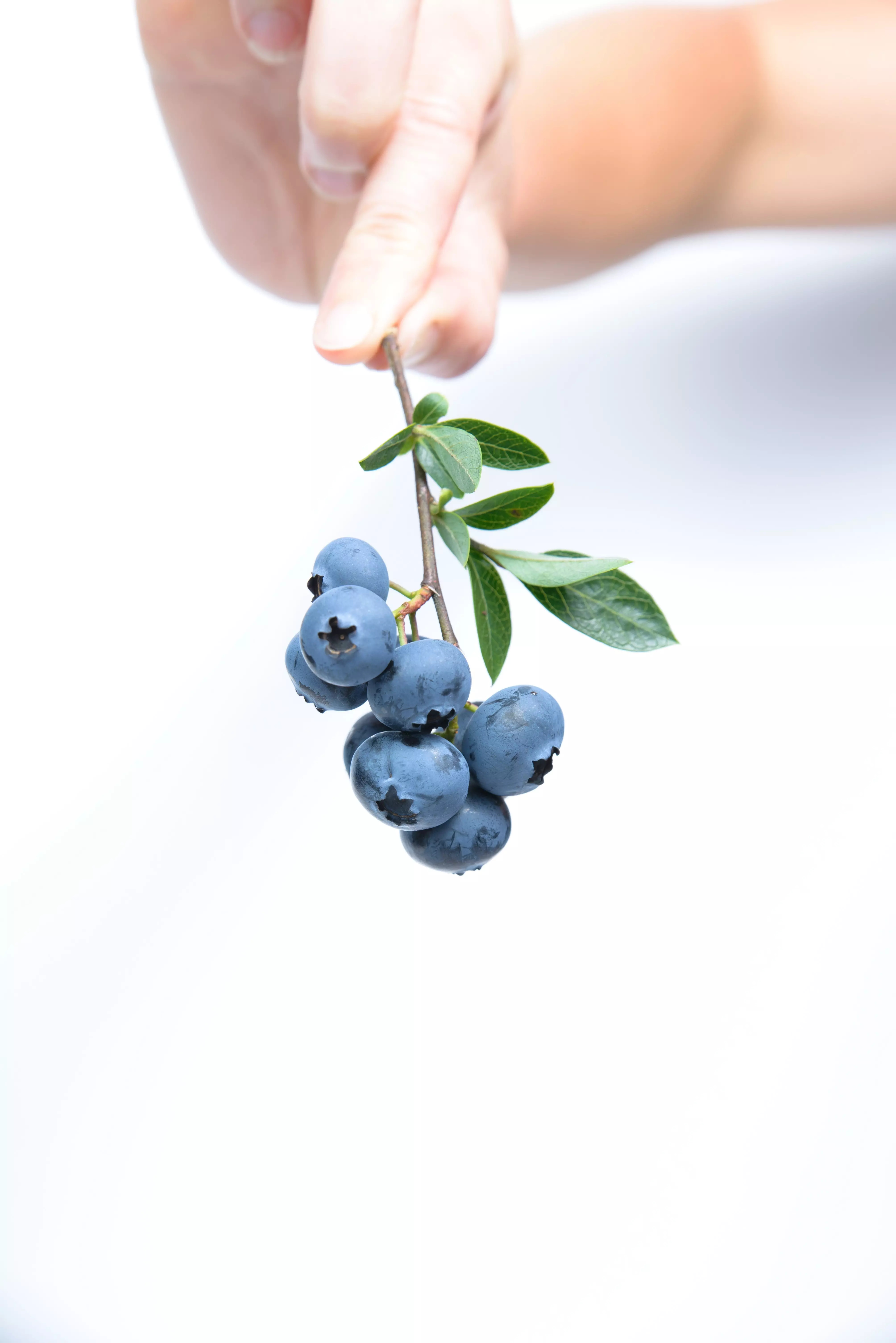 Blueberries