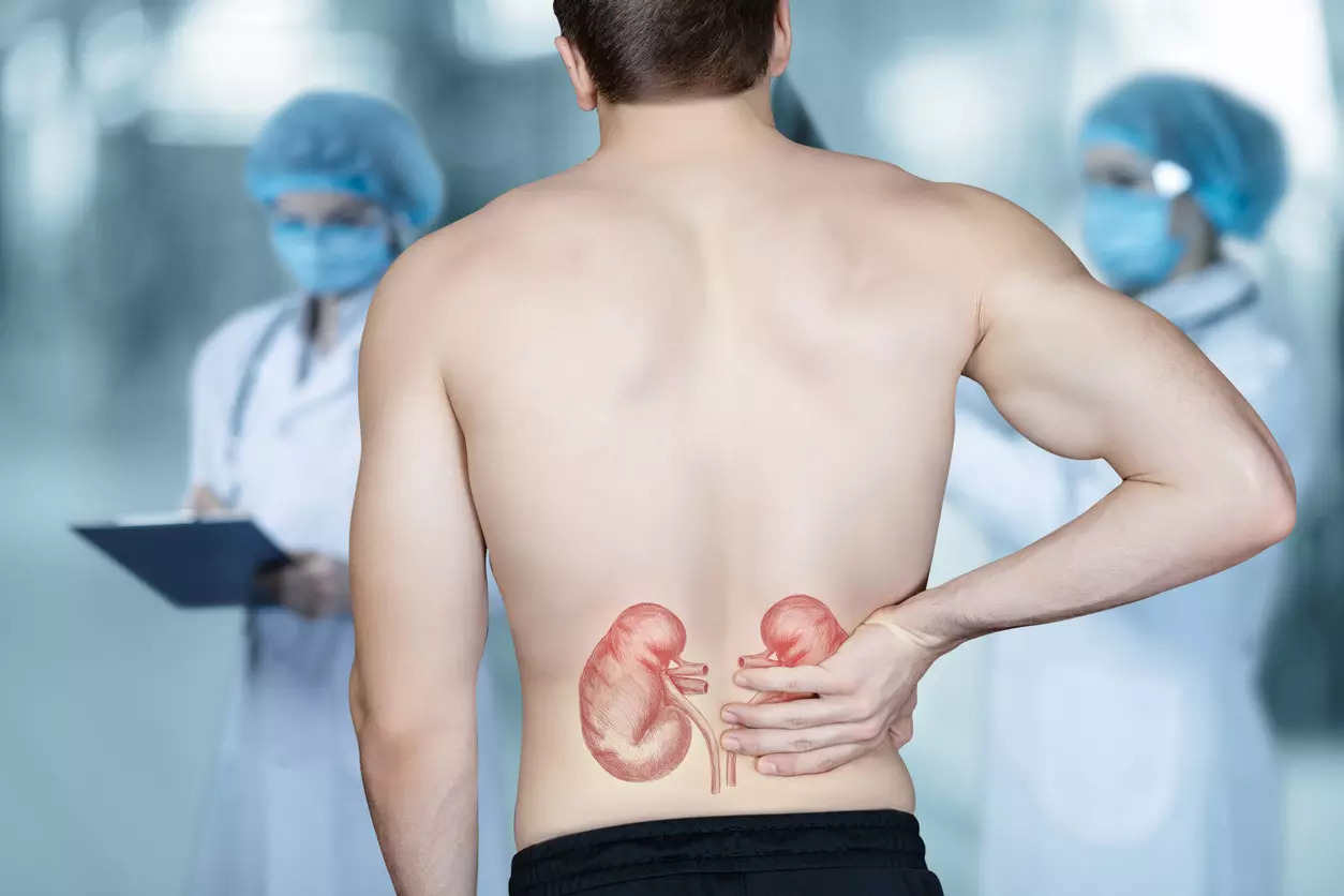 Kidneys keep the body free of toxins