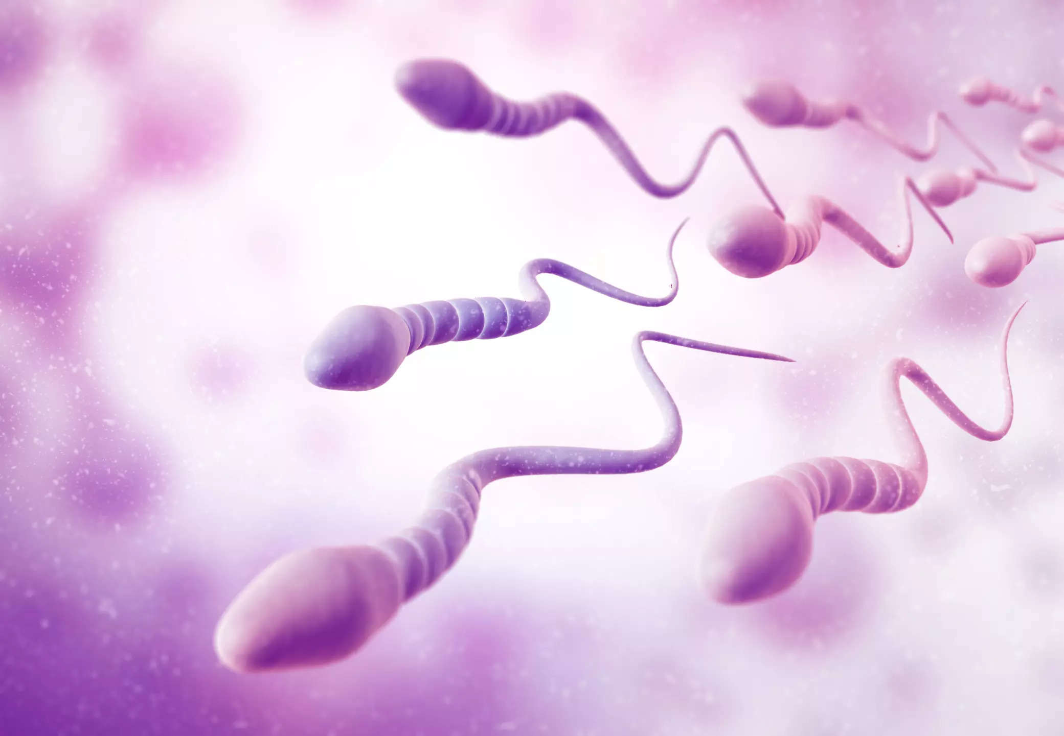 Low Sperm Count 5 Lifestyle Habits That Contribute To It