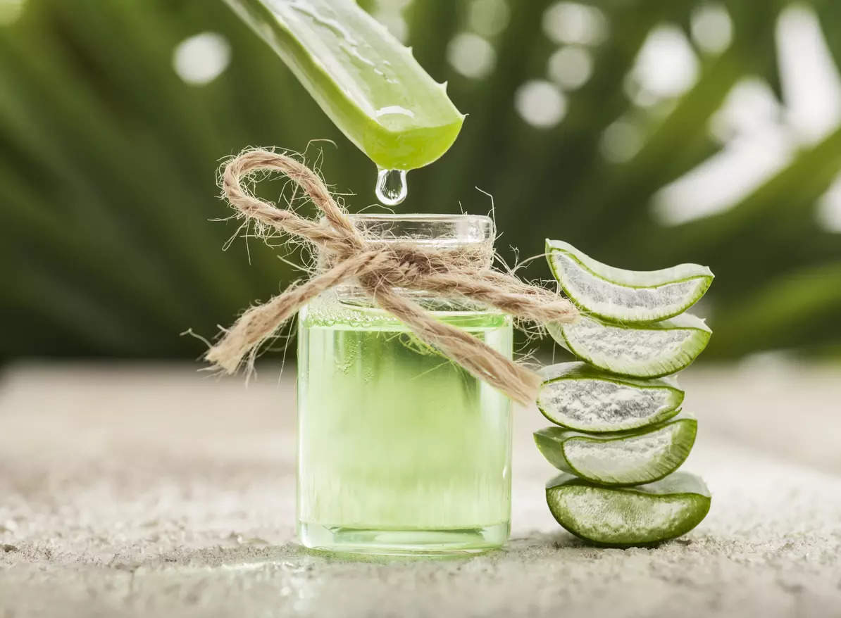 Aloe vera: 4 benefits of using the gel to overcome hair woes