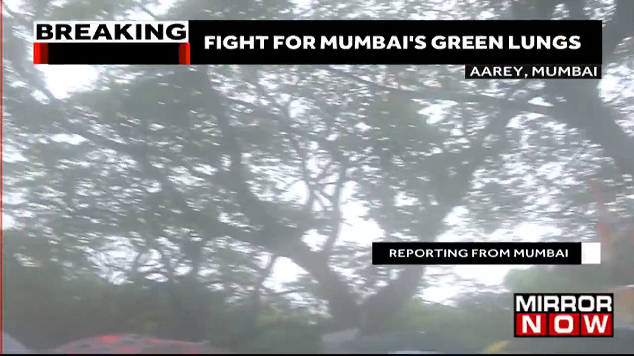 GROUND REPORT Fight for Mumbais green lungs Protest held in Aarey colony