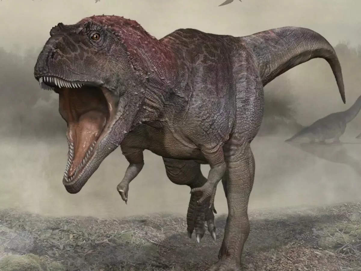 An artist's impression of Meraxes gigas, the recently-discovered dinosaur species | Picture courtesy: Carlos Papolio University of Minnesota/AFP