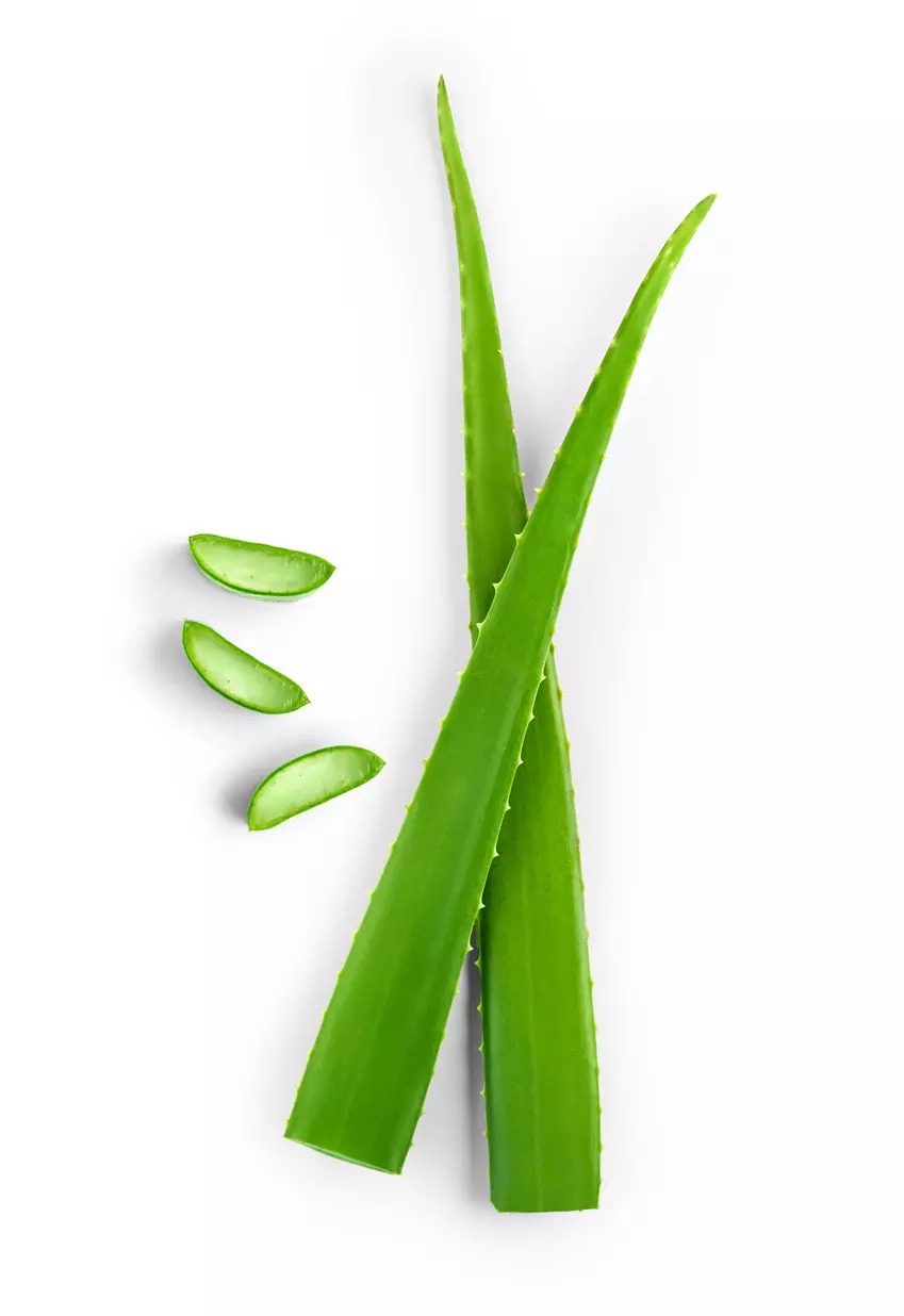 Why should Aloe Vera be your new BFF Best food forever