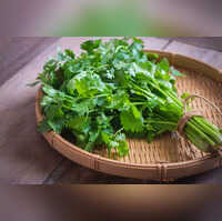 Cilantro lovers, rejoice! Popular garnish choice has several health