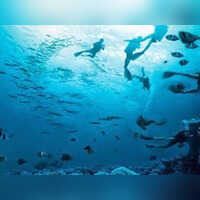 Optical illusion This personality test takes a deep dive into you in 6