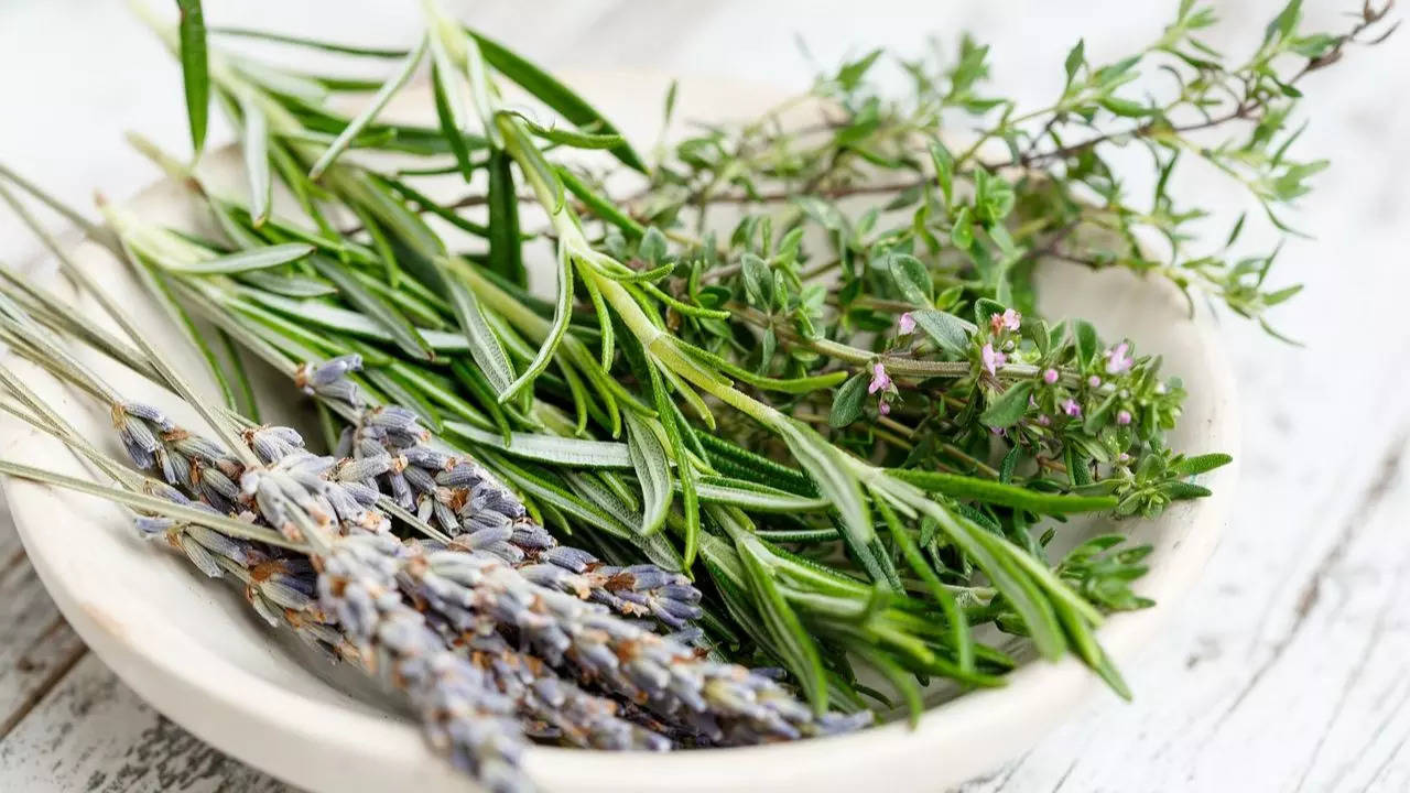Rosemary water for immediate hair growth? Here's all you need to know