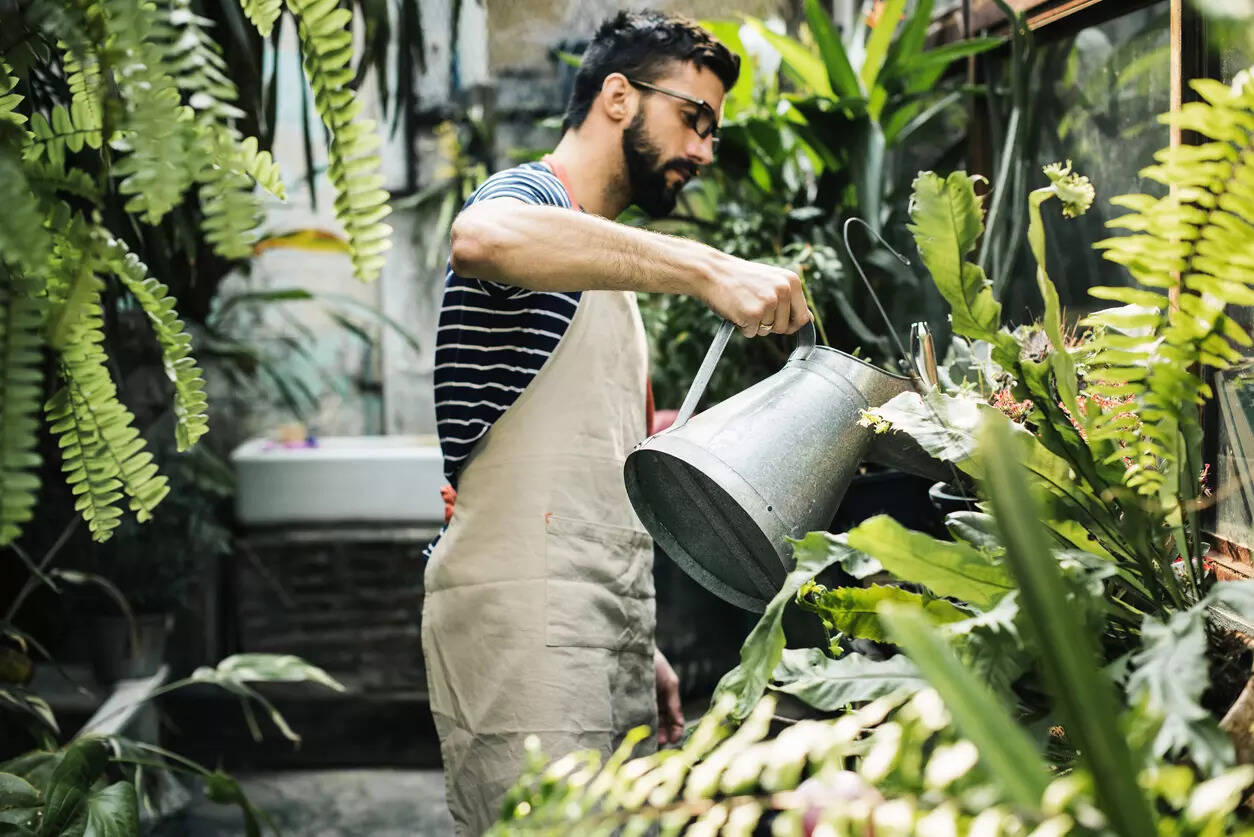 Gardening Know how this can help with mental health