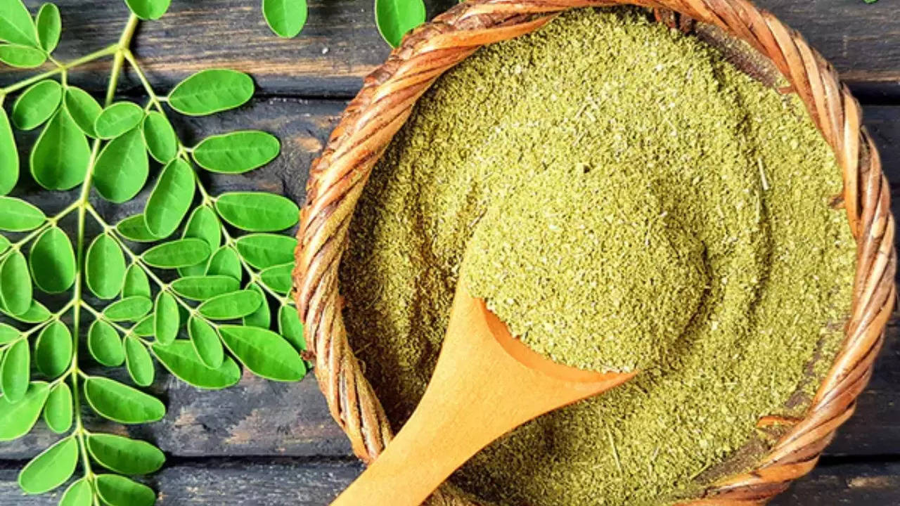 Moringa leaves are great to cure dandruff and dry hair: A step-by-step  tutorial to make the hair powder