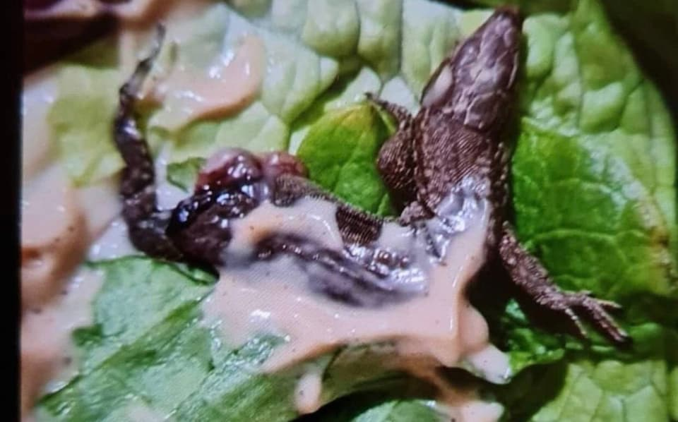 McDonalds customer furious after biting lizard in burger says compensation sum was measly