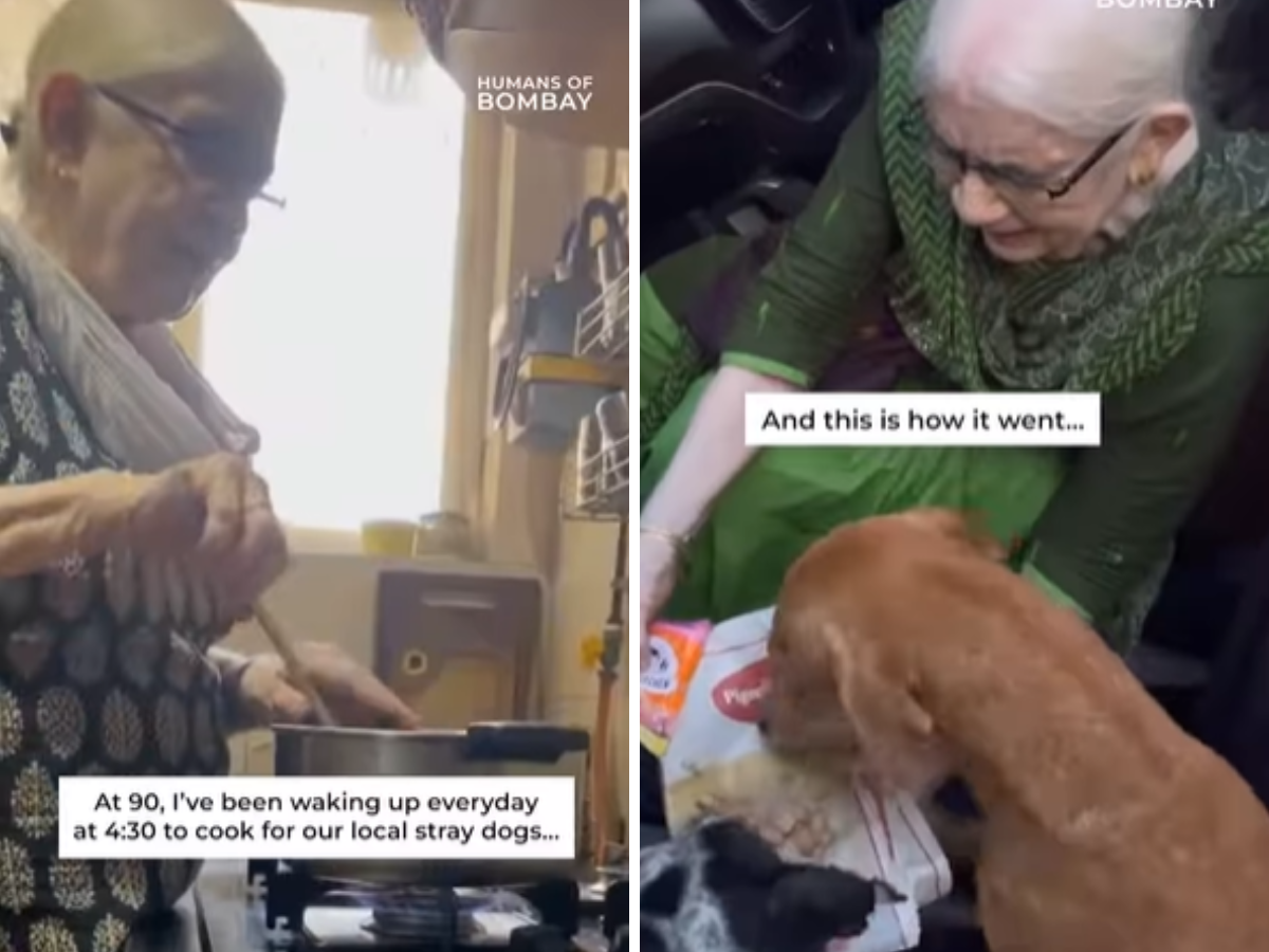 She is 90. Wakes up at 4:30 AM every day to feed local stray dogs -  internet calls her a hero