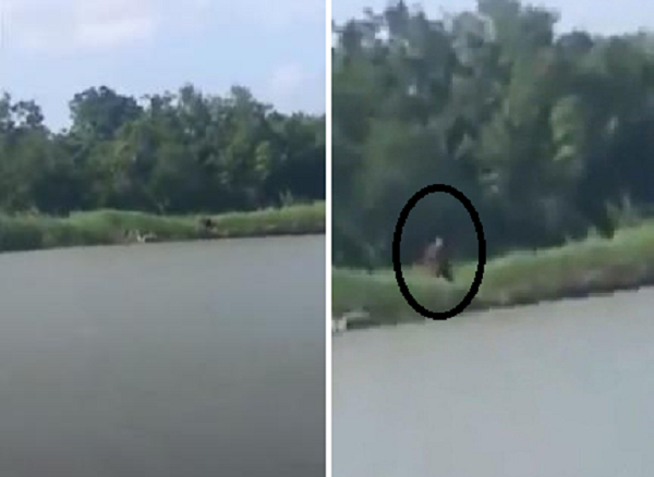 Fisherman terrified after spotting mysterious half-man, half-dog creature near river baffles experts