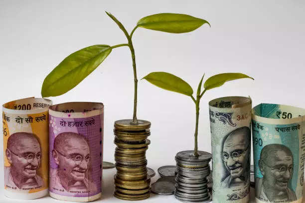 MF Corner-Which are the best performing large cap funds in July