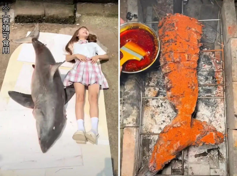 SHOCKING: Food blogger being investigated for cooking and eating 'great  white shark' on video