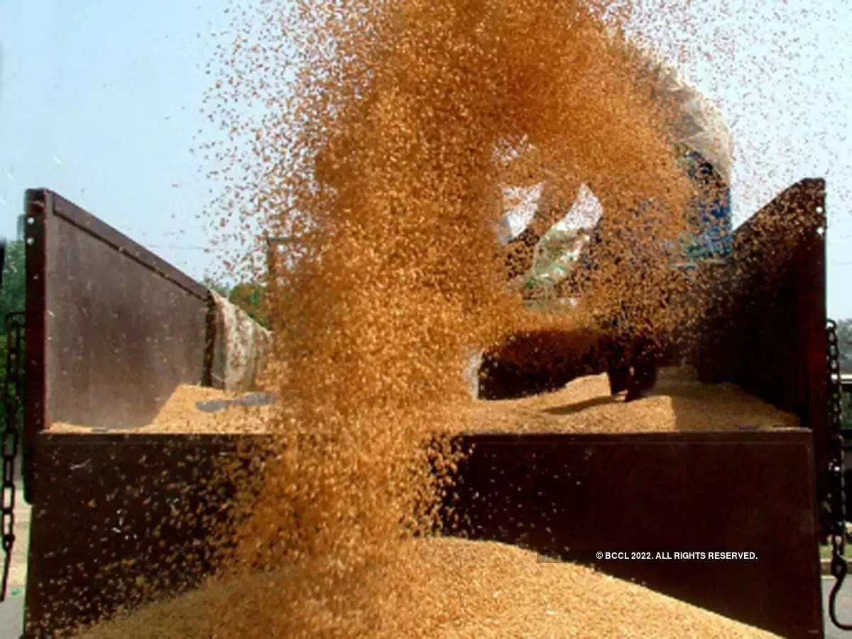 India could scrap import duties on wheat to cool domestic prices