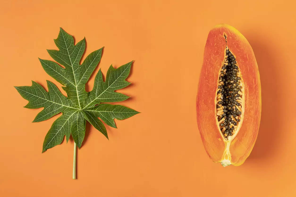 Papaya Leaf Health Benefits of Leaf Digestion Healthy Skin and More