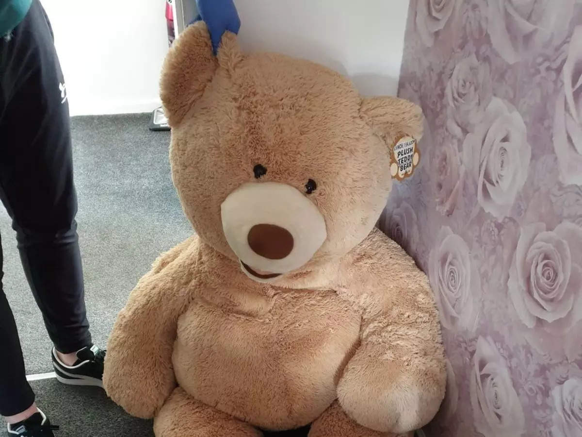 A thief wanted for car theft was caught by the UK police hiding inside a giant 'breathing' teddy bear | Picture courtesy: Facebook/Great Manchester Police