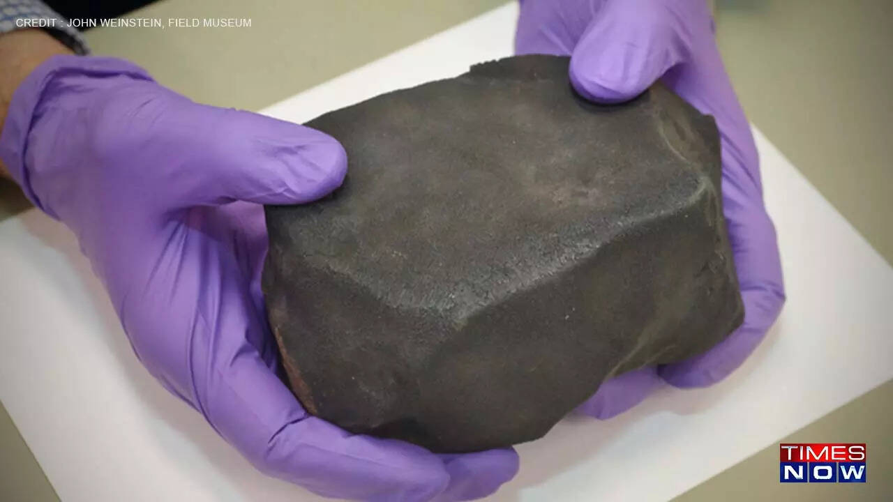 The main mass of the Aguas Zarcas meteorite at the Field Museum