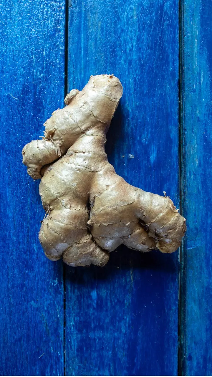 Ginger