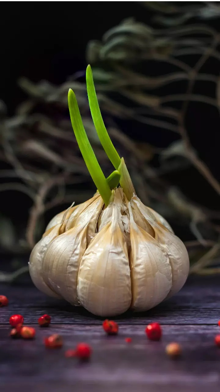 Garlic