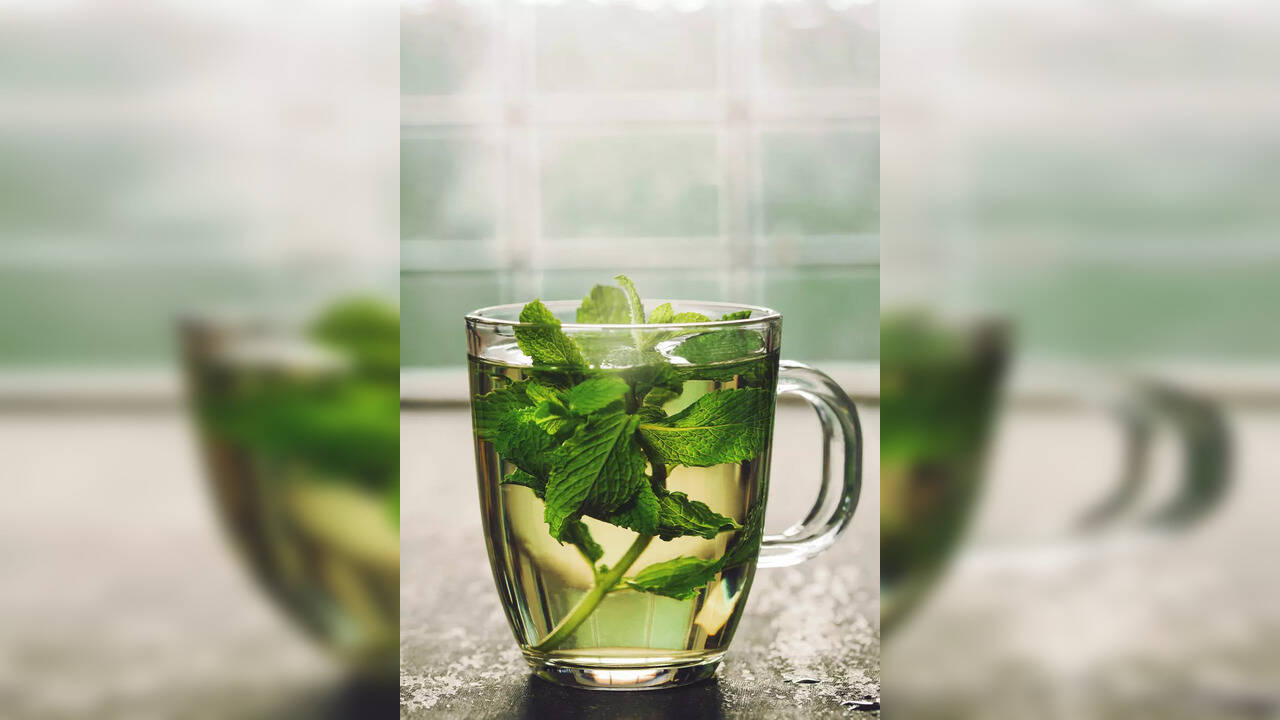 Drinking too much peppermint tea raises pregnancy concerns, kidney