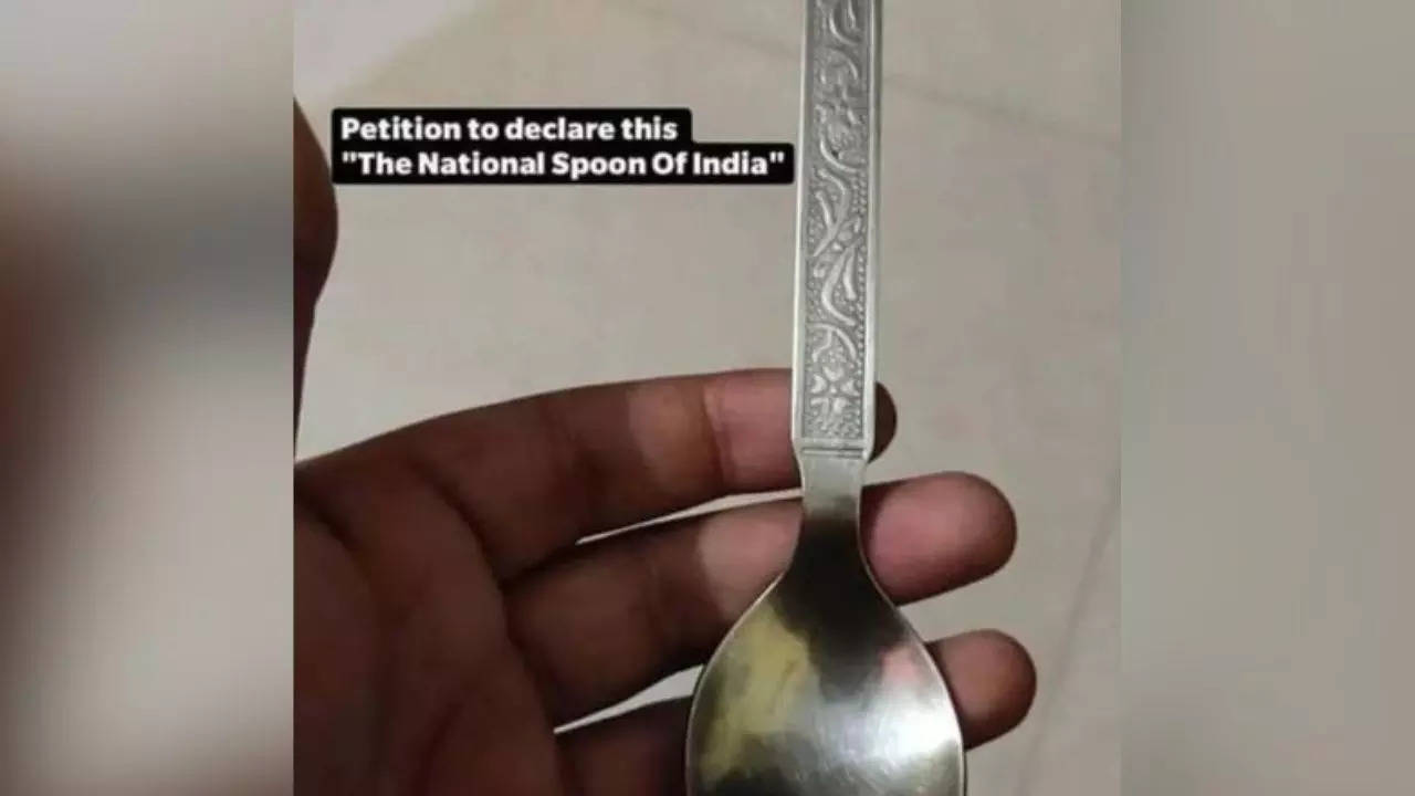 'Declare this National Spoon of India' Man's petition on Reddit