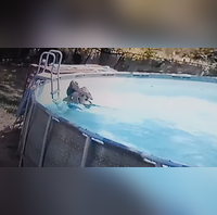 My little hero 10-year-old boy saves mother from drowning in a pool after she suffered a seizure - WATCH