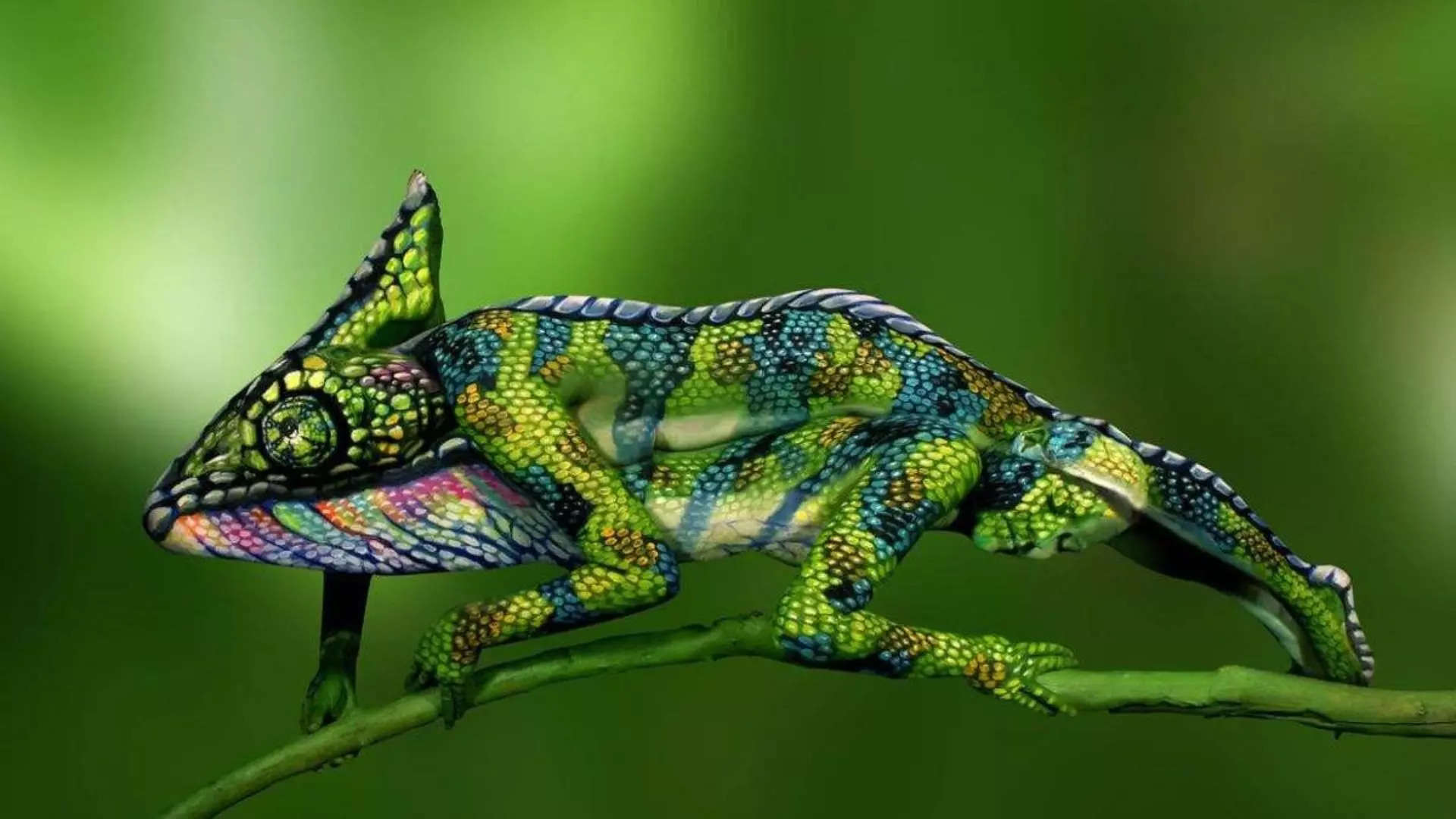 Optical illusion of a chameleon hides two women within  Picture courtesy Johannes Stoetter