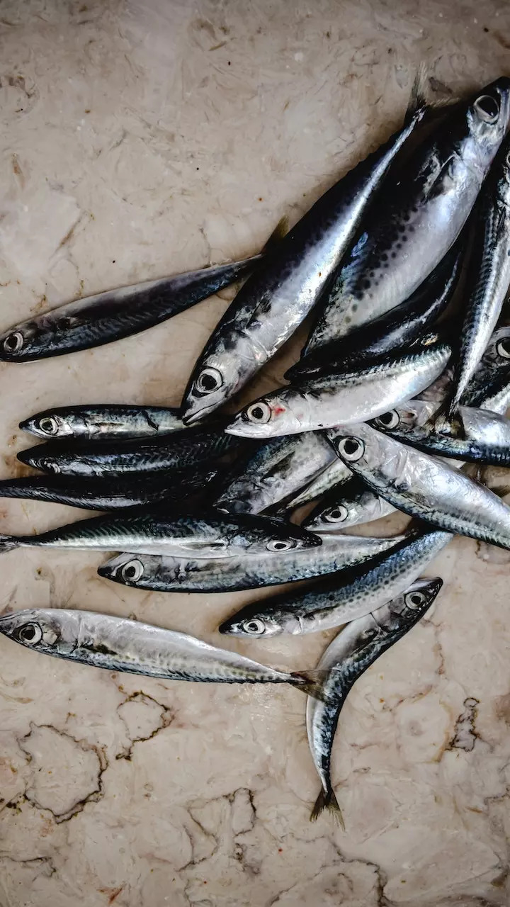 Sardines