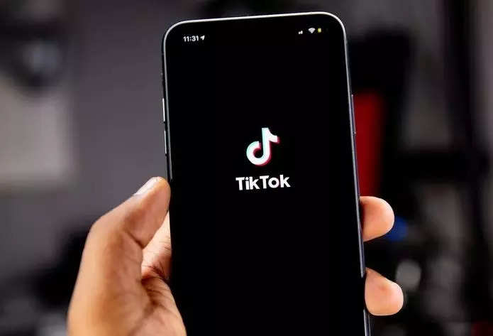 TikTok hackte meer dan 2 miljard records van gebruikersdatabase gestolen Beveiligingsonderzoekers